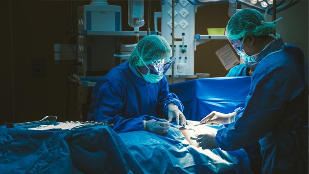 Vascular and Endovascular Surgery: Treatment Options, Benefits...